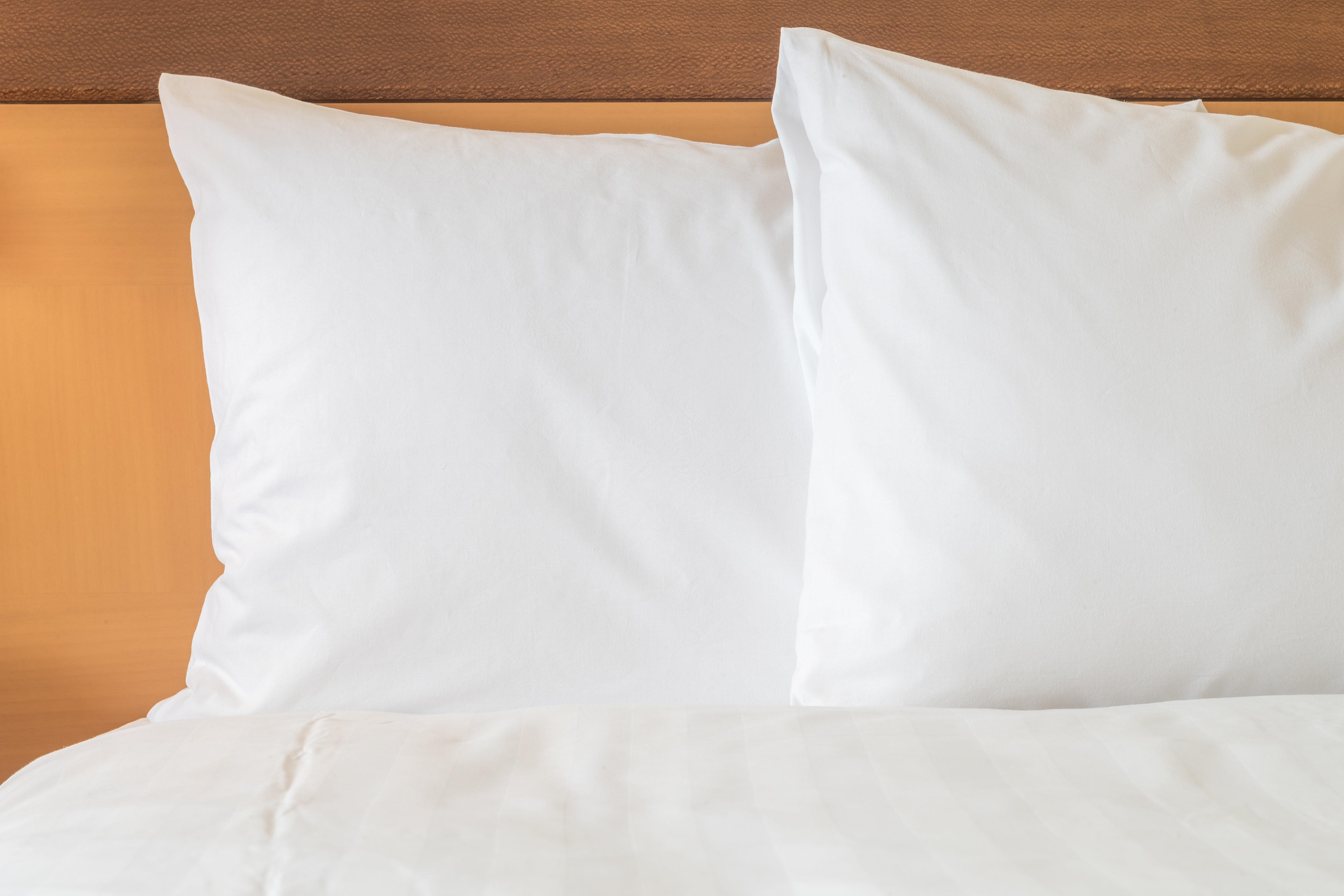 Holiday Inn Allentown-Bethlehem By Ihg Eksteriør bilde